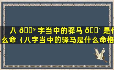 八 💮 字当中的驿马 🐴 是什么命（八字当中的驿马是什么命格）